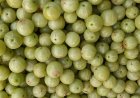 Health Benefits Of Amla