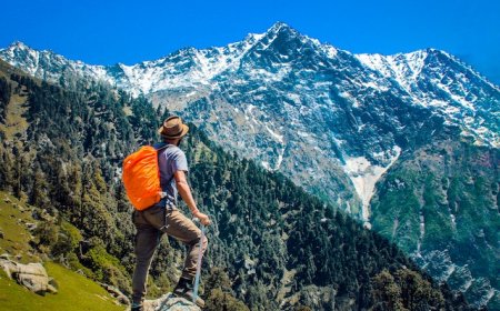 Travel far, travel wide, travel with a curious mind