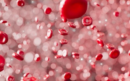 Immune System Support