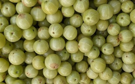 Health Benefits Of Amla