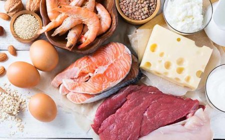 How Much Protein Do You Really Need on a Daily Basis? Examine These Dos and Don'ts
