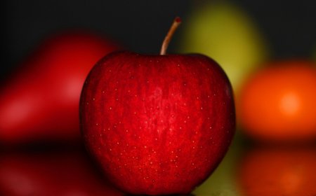 Ultimate Guide to Holistic Health: Tips and Insights