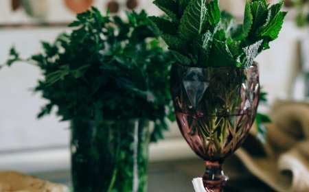 Benefits and risks of various natural remedies and alternative treatments.