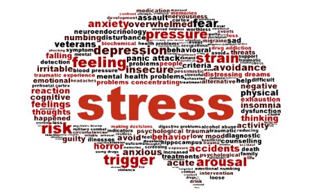 Managing Mind Stress: Effective Strategies for a Calm Mind
