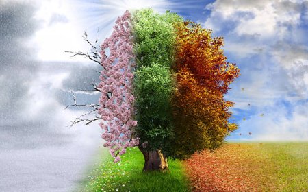 From Sun and Snow to Rain and Wind: Navigating Seasonal Skin and Health Challenges