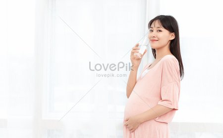 A Guide to a Healthy and Safe Pregnancy