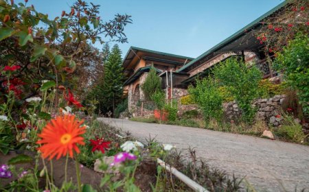 Connecting with Nature: Finding Happiness in Planting Trees