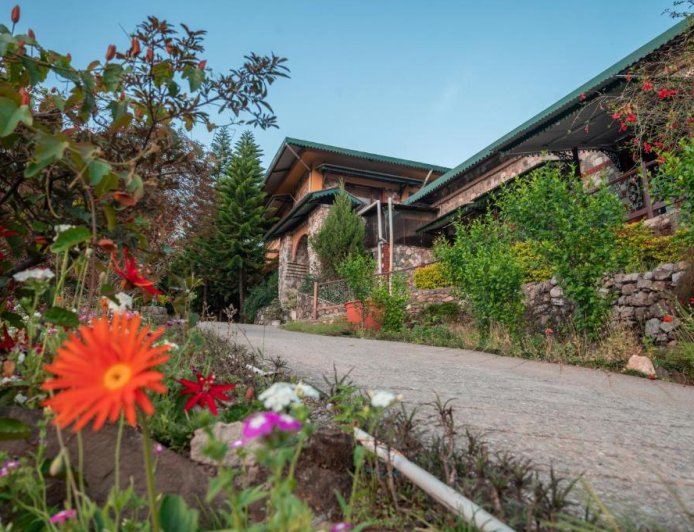 Connecting with Nature: Finding Happiness in Planting Trees