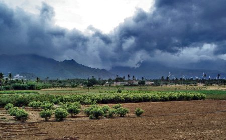 The Changing Face of Monsoons: A Deep Dive into Their Global Impact