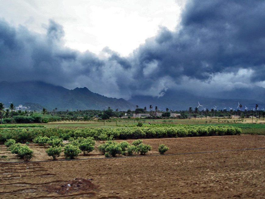 The Changing Face of Monsoons: A Deep Dive into Their Global Impact