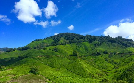 Working From the Hills: Why Indian Professionals Are Choosing Nature Over Noise
