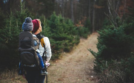 Beginner’s Guide to Hiking: Trails You Can’t Miss
