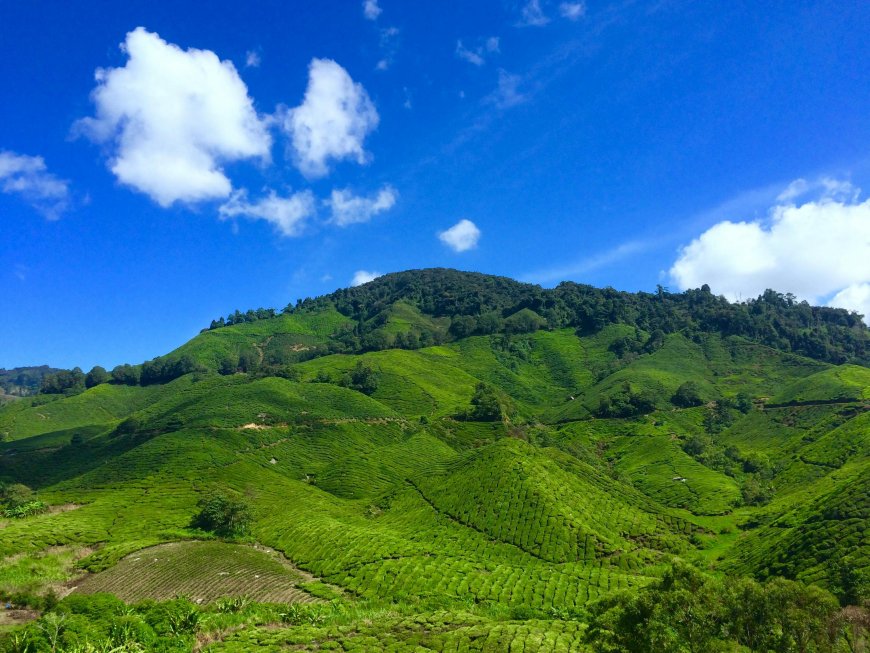 Working From the Hills: Why Indian Professionals Are Choosing Nature Over Noise