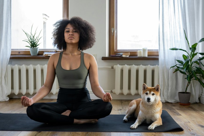 Adapting Yoga and Pilates for New Life Stages