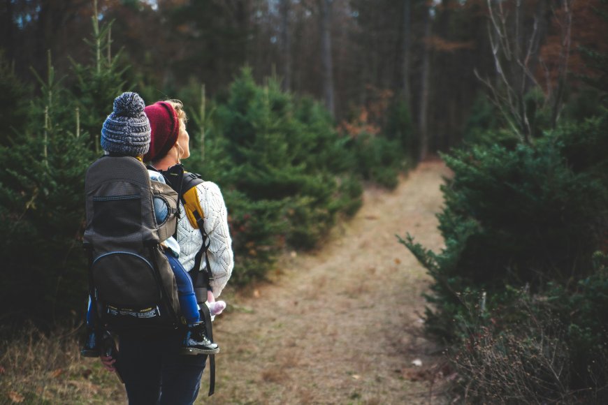Beginner’s Guide to Hiking: Trails You Can’t Miss